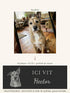 Visuel d’illustration : de la photo d’Hector (chien fictif) à sa plaque « Ici vit » gravée au crayon, rendu de synthèse