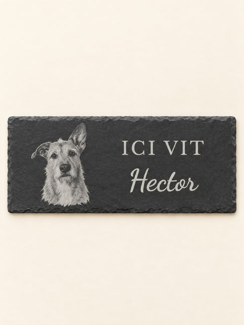 Plaque « Ici vit » en ardoise naturelle gravée au laser : portrait au crayon d’un chien, ICI VIT et le prénom Hector (image de synthèse)