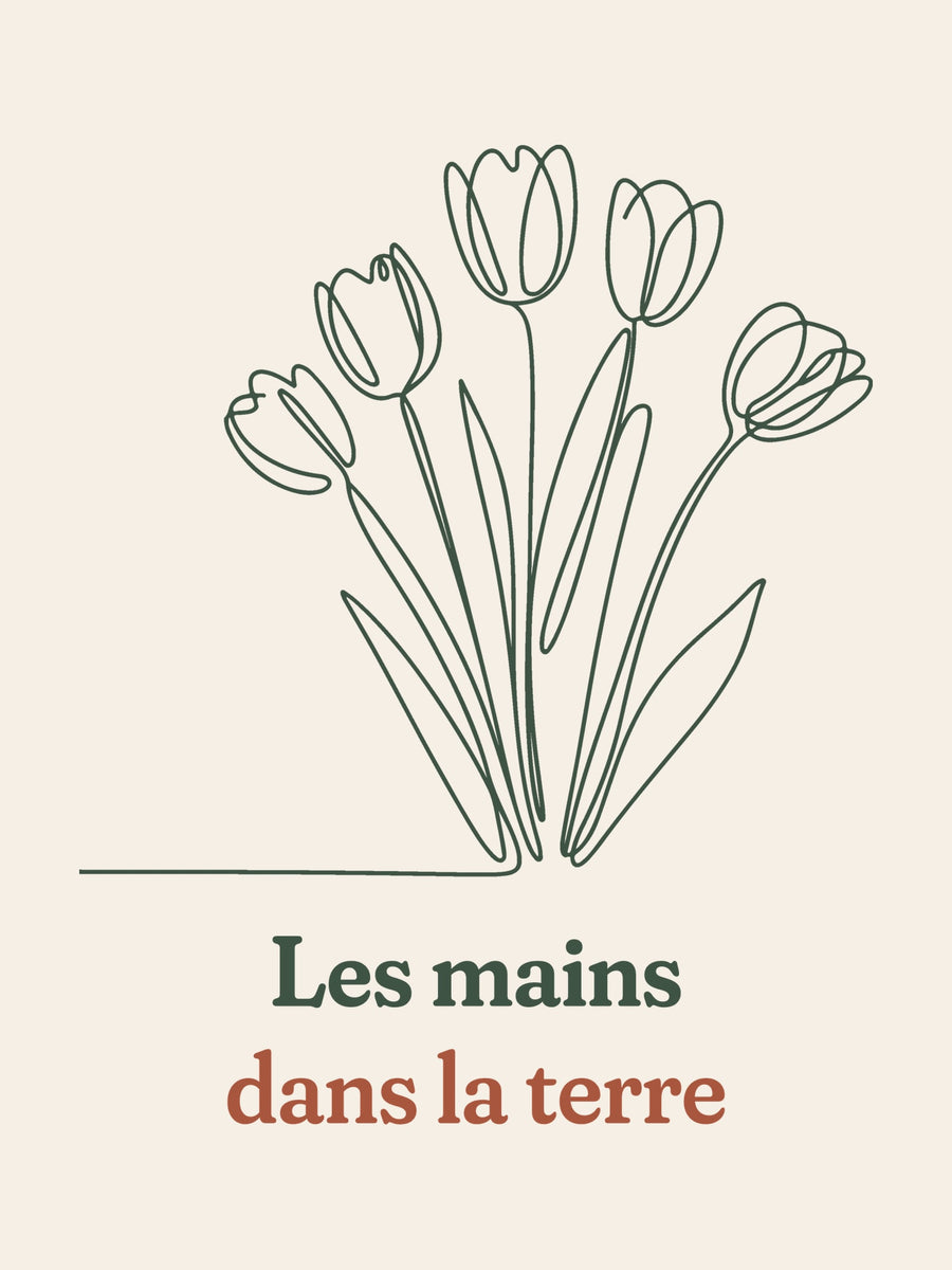 Visuel d’illustration – gros plan du motif : un bouquet de tulipes, dessiné d’un seul trait continu et « Les mains dans la terre »