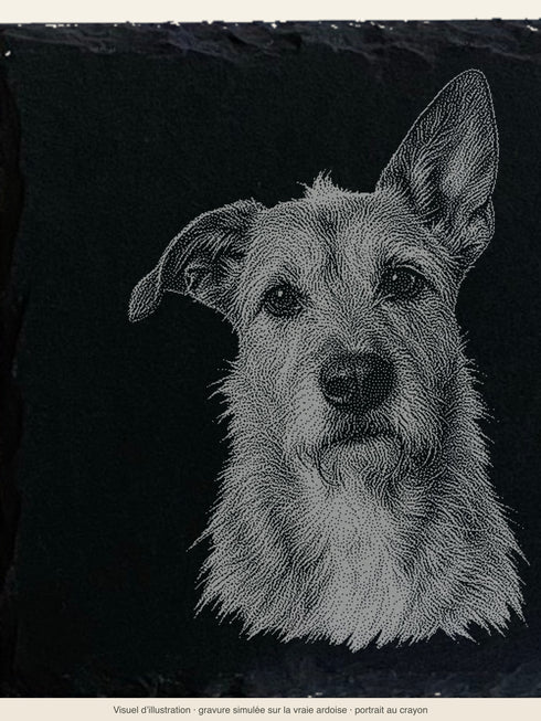 Gros plan du portrait au crayon d'un chien gravé en clair dans l'ardoise