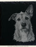 Gros plan du portrait au crayon d'un chien gravé en clair dans l'ardoise
