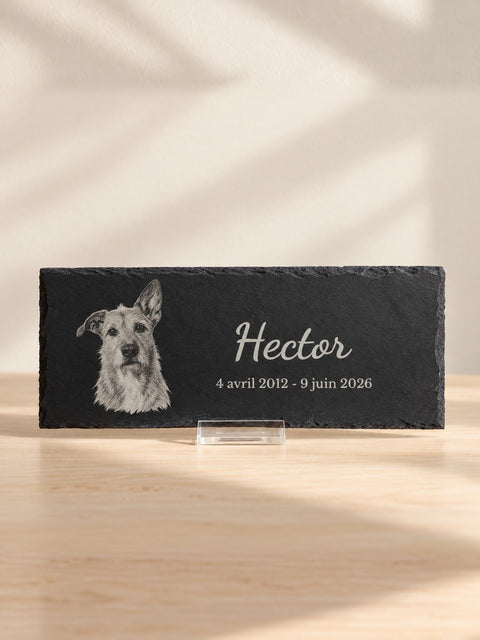 Visuel d’illustration, image de synthèse : plaque souvenir en ardoise sur son chevalet transparent, portrait au crayon d’un chien, prénom Hector et dates