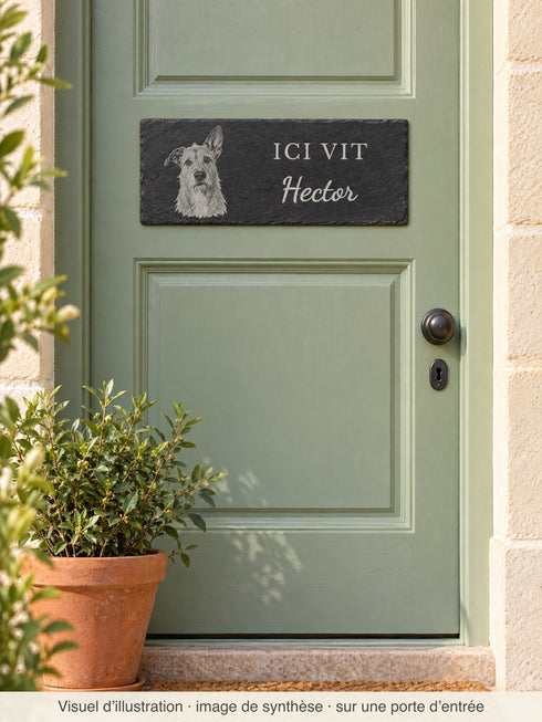 Visuel d’illustration, image de synthèse : plaque « Ici vit Hector » au portrait au crayon, collée sur une porte d’entrée vert sauge