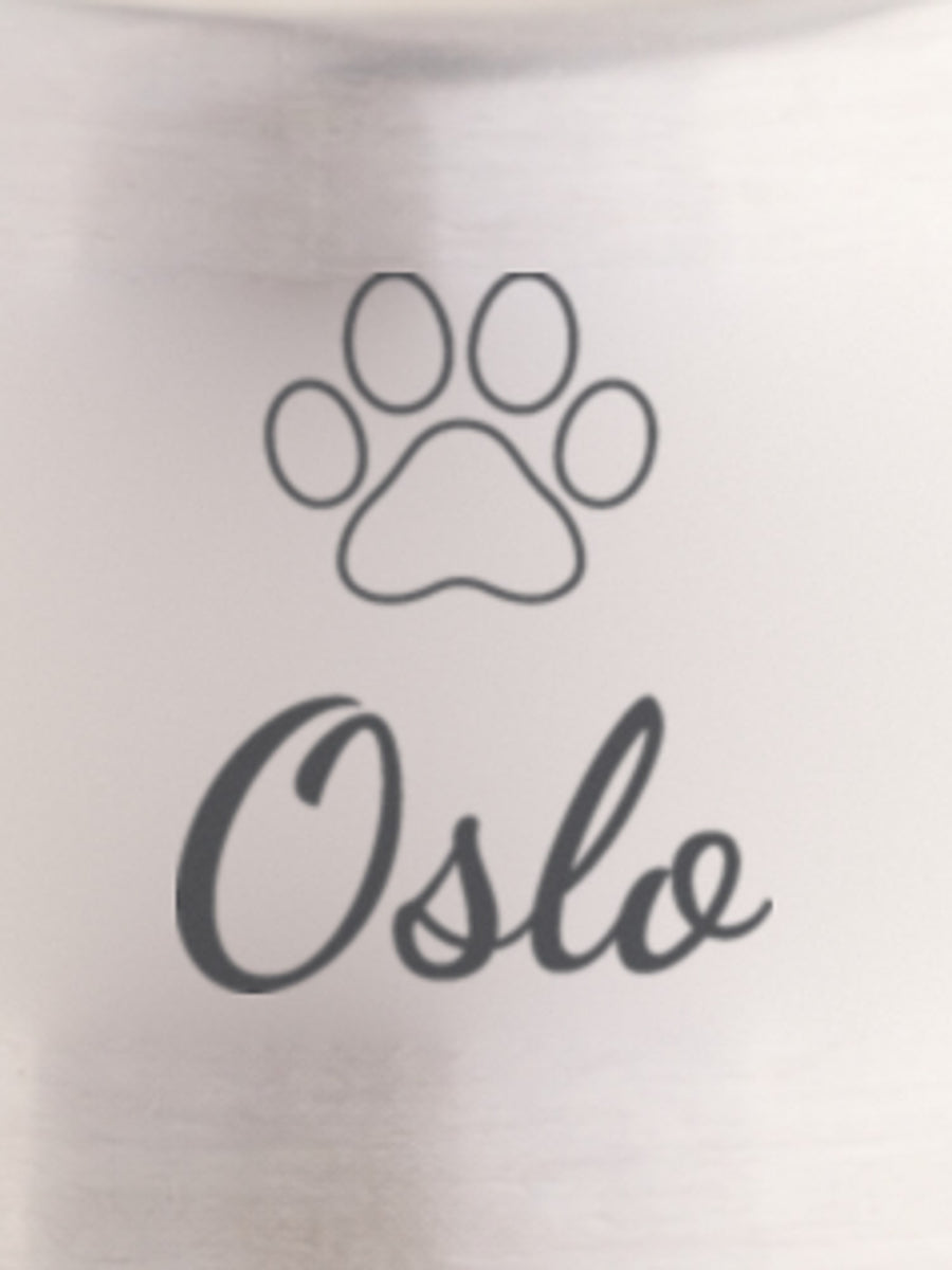 Visuel d’illustration – gros plan de la gravure sur l’inox : une patte et « Oslo »