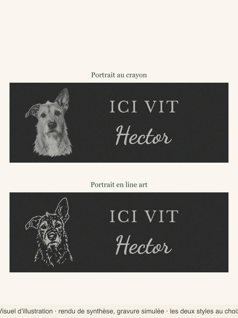 Visuel d’illustration : les deux styles de portrait côte à côte, portrait au crayon et portrait en line art, rendu de synthèse