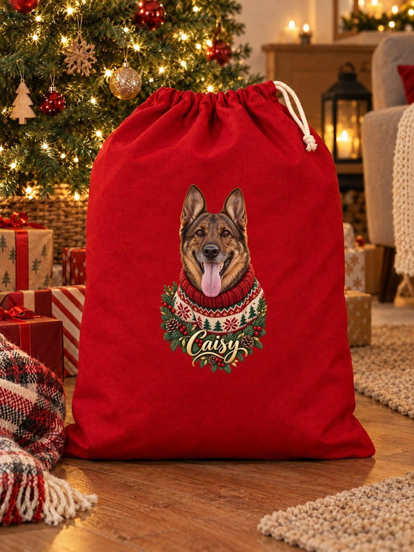 Visuel d’illustration – hotte de Noël rouge remplie de cadeaux au pied d’un sapin illuminé, avec le portrait de Caisy, un berger allemand, style Noël douillet, prénom en lettres dorées