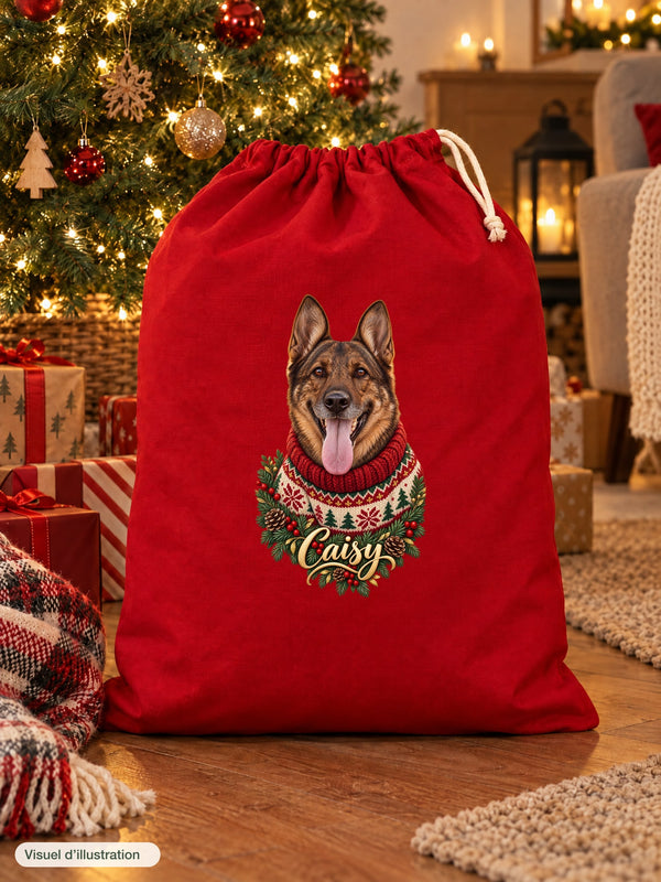 Visuel d’illustration – hotte de Noël rouge remplie de cadeaux au pied d’un sapin illuminé, avec le portrait de Caisy, un berger allemand, style Noël douillet, prénom en lettres dorées