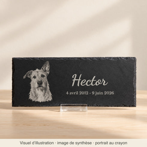 Visuel d’illustration, image de synthèse : plaque souvenir en ardoise sur son chevalet transparent, portrait au crayon d’un chien, prénom Hector et dates
