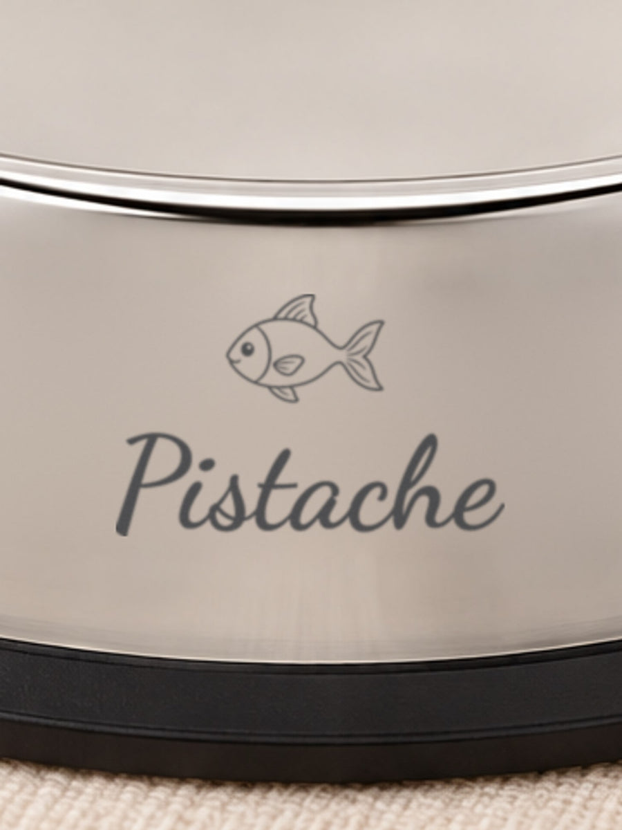 Visuel d’illustration – gros plan de la gravure : un petit poisson et « Pistache »