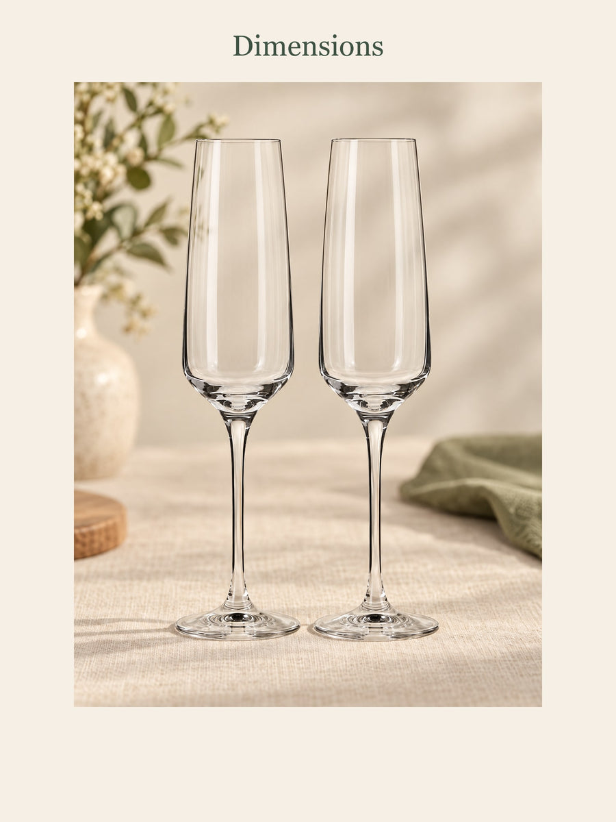 Visuel d’illustration – dimensions des flûtes : 20 cl