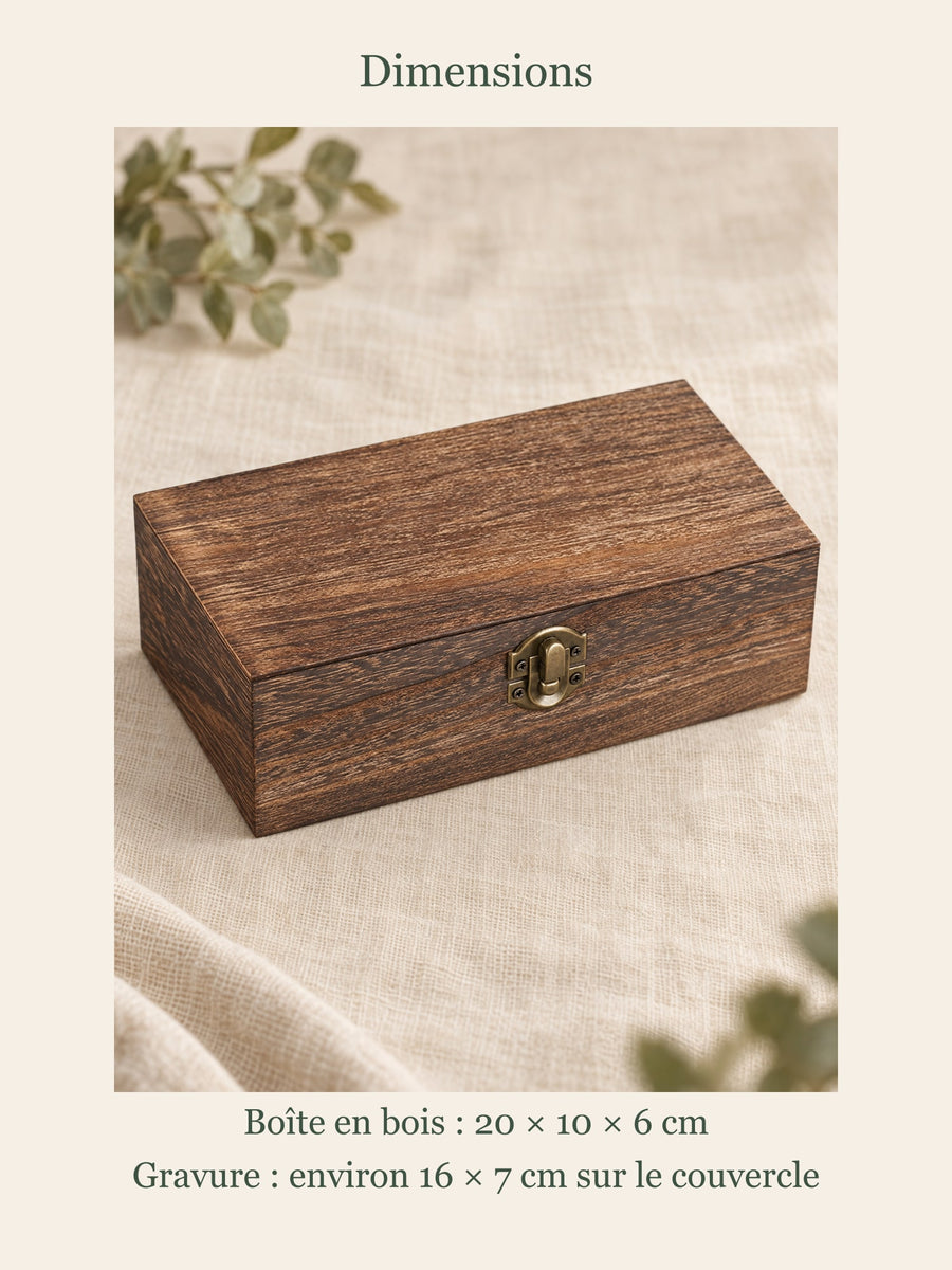 Visuel d’illustration – dimensions de la boîte : 20 × 10 × 6 cm