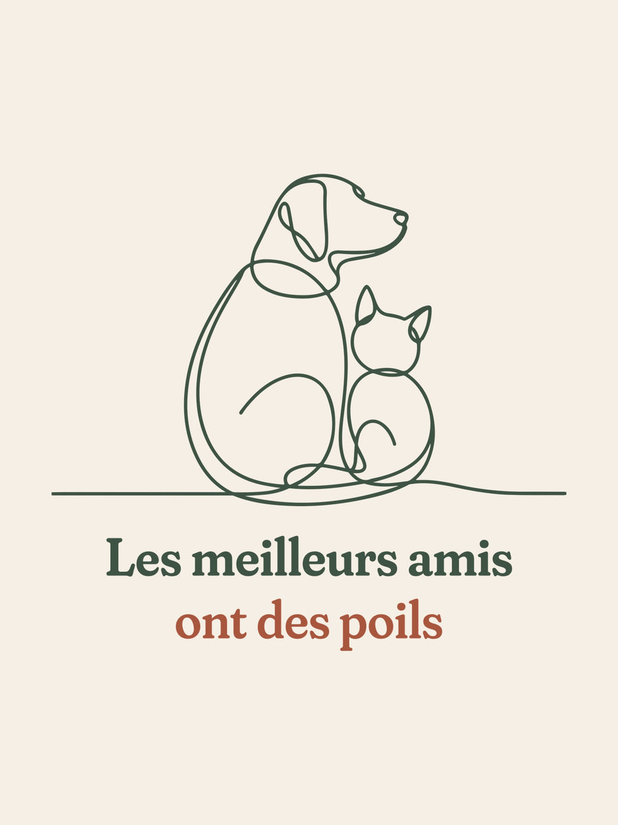 Visuel d’illustration – gros plan du motif : un chien et un chat assis l’un contre l’autre, de dos, dessinés d’un seul trait continu et « Les meilleurs amis ont des poils »