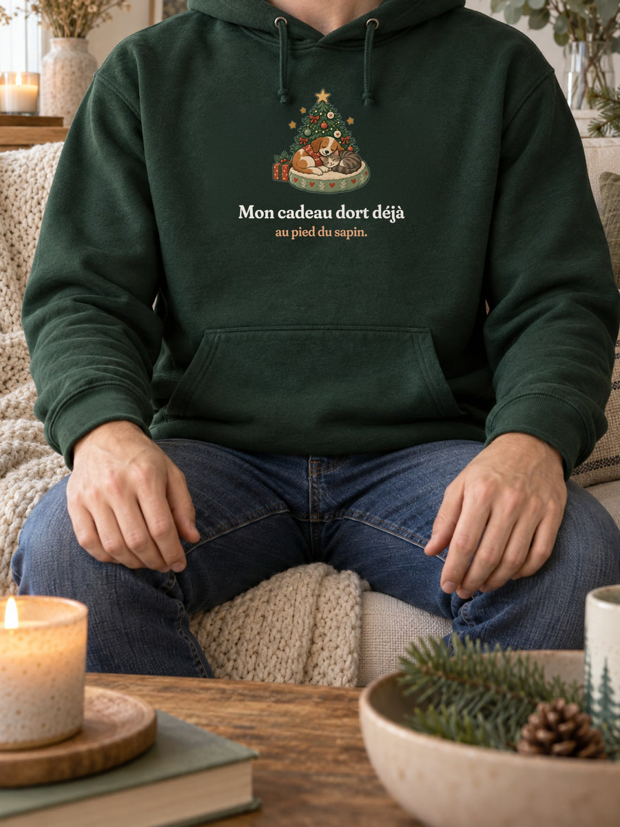 Visuel d’illustration – sweat à capuche vert forêt porté, sur un canapé, près d’une bougie, avec le motif de Noël : un chien et un chat endormis au pied d’un petit sapin et la phrase « Mon cadeau dort déjà au pied du sapin. »