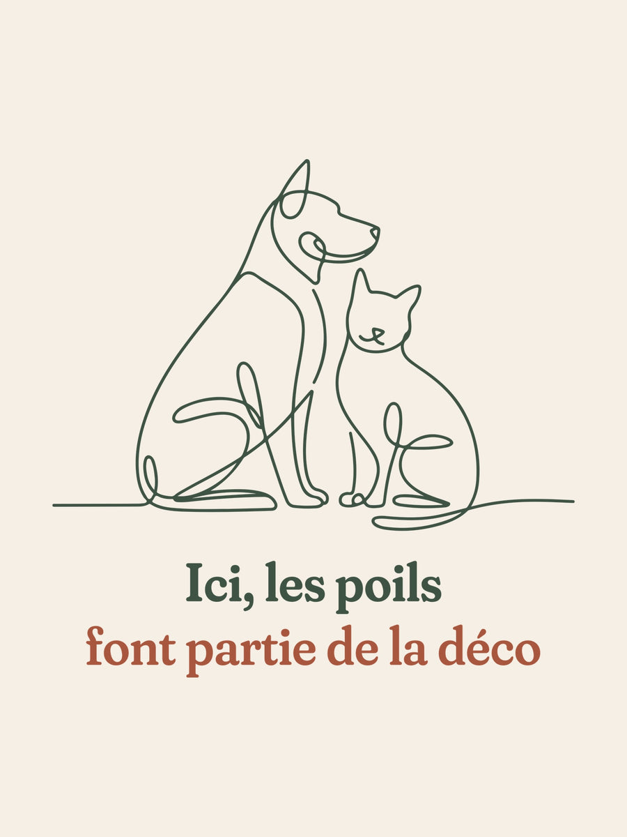 Visuel d’illustration – gros plan du motif : un chien et un chat assis côte à côte, dessinés d’un seul trait continu et « Ici, les poils font partie de la déco »