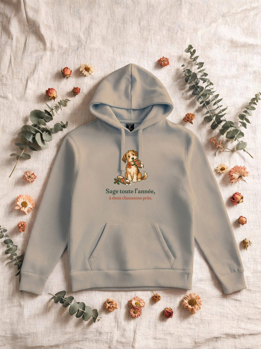 Visuel d’illustration – Sweat homme sable avec le motif de Noël : un chien assis, un chausson dans la gueule, et la phrase « Sage toute l’année, à deux chaussons près. »