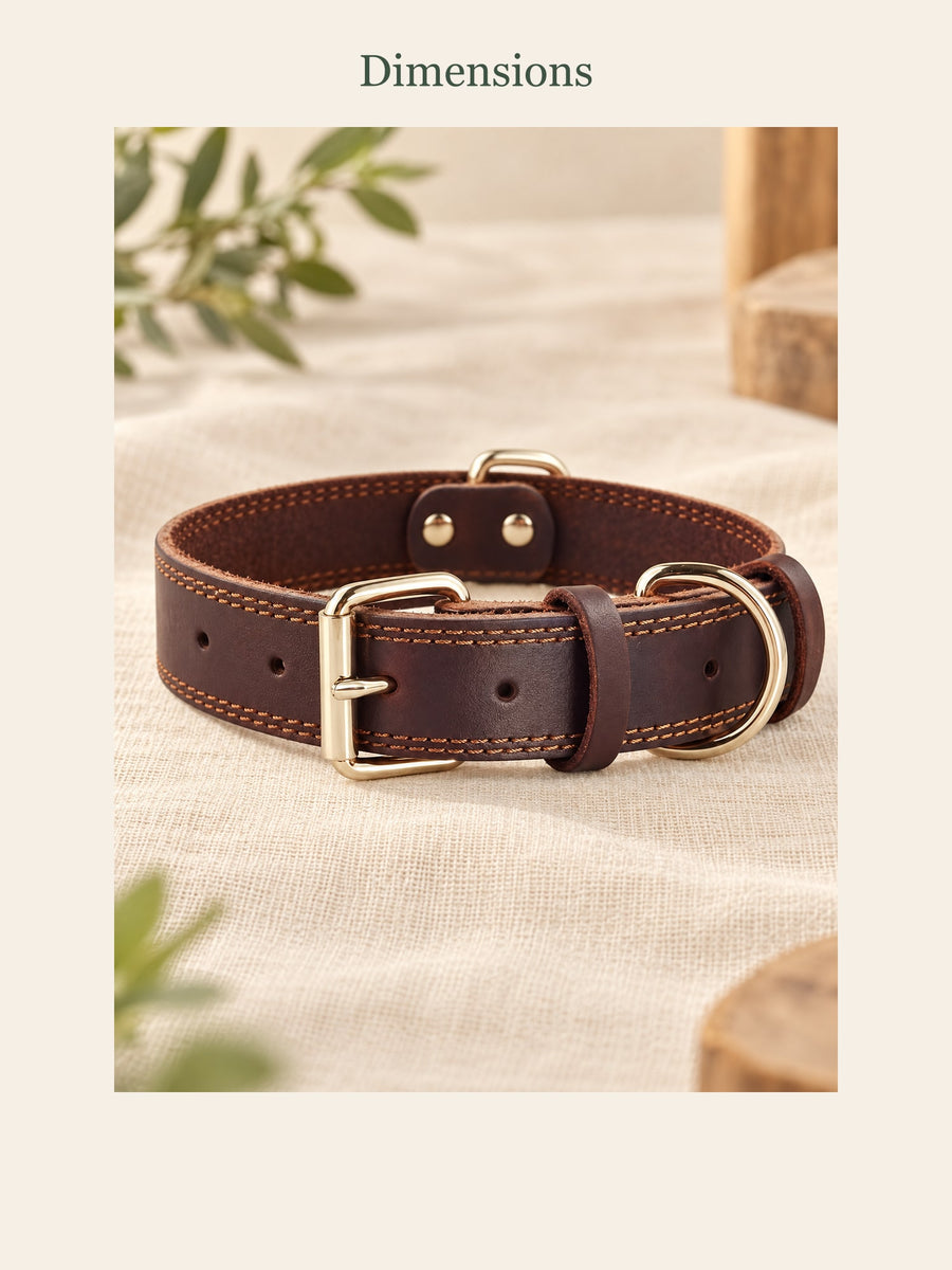 Visuel d’illustration – tailles du collier