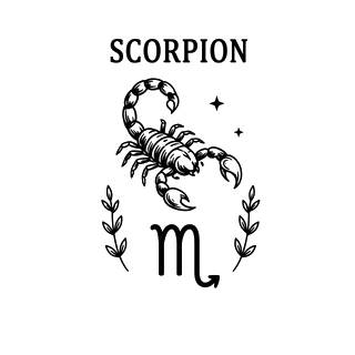 Illustration Scorpion