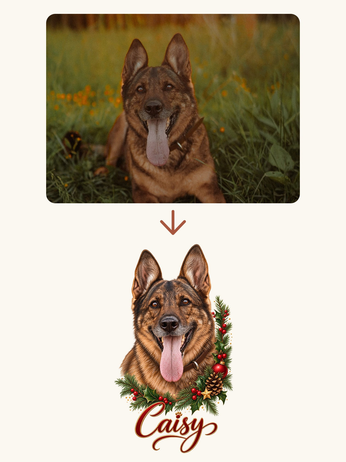 La photo du chien Caisy transformée en portrait Couronne de Noël : l’aperçu validé avant impression, à côté du sweat fini