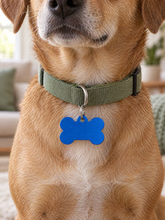Médaille os bleu roi accrochée au collier d’un chien – visuel d’illustration